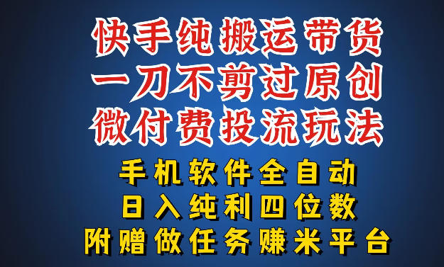 最新黑科技快手搬运带货方法,手机就能操作,轻松带你日入四位数【揭秘】-玩备项目资源网