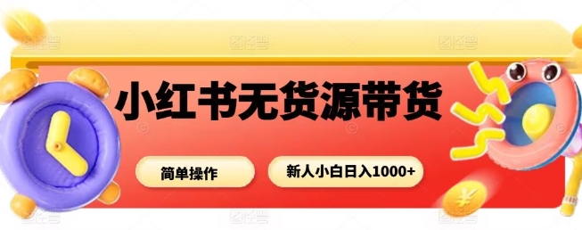 小红书无货源带货项目，简单无脑，新人小白日入多张-玩备项目资源网