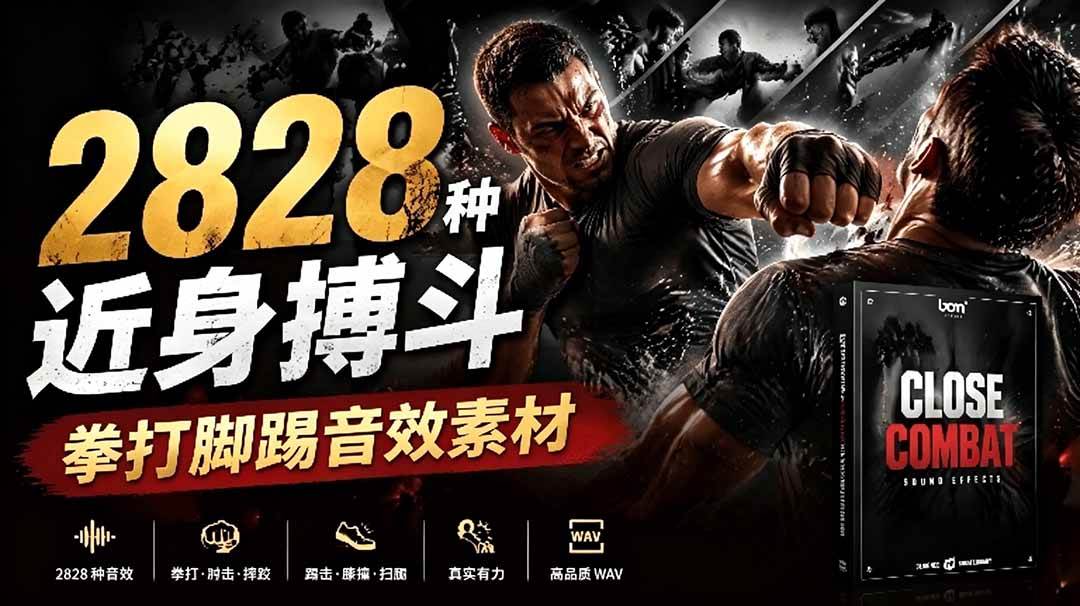 （19072期）宝藏级别音效！2828种近身搏斗拳打脚踢音效素材，全部中文分类，免解压使用 Close Combat-玩备项目资源网