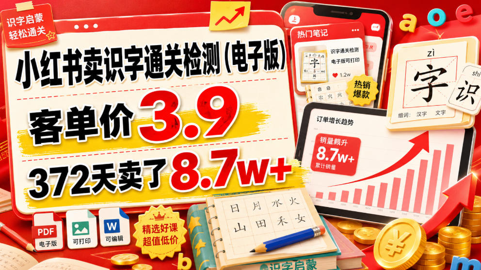 小红书卖识字通关检测(电子版),客单价3.9,372天卖了8.7w+-玩备项目资源网