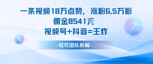 一条视频18W点赞，涨粉6.5W粉佣金8541米，视频号+抖音=王炸-玩备项目资源网