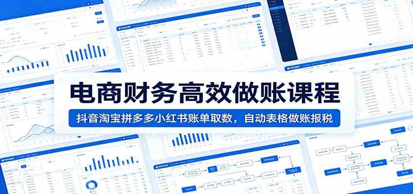 电商财务高效做账课程：抖音淘宝拼多多小红书账单取数，自动表格做账报税-玩备项目资源网