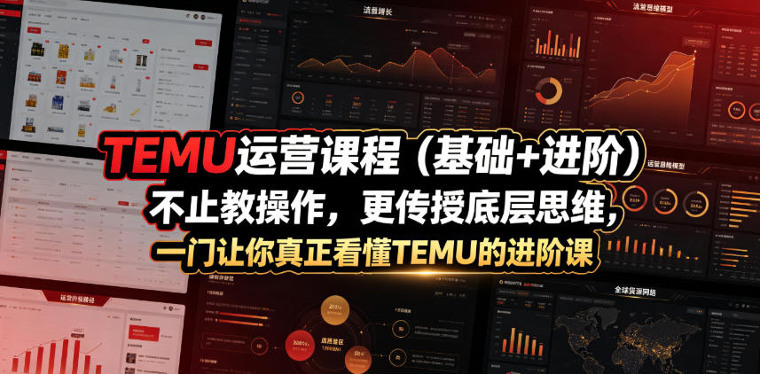 TEMU运营课程（基础+进阶），不止教操作，更传授底层思维，一门让你真正看懂TEMU的进阶课-玩备项目资源网