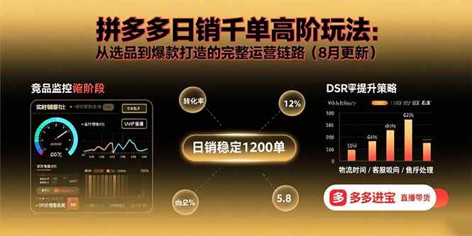 （15850期）拼多多日销千单高阶玩法：从选品到爆款打造的完整运营链路（8月更新）-玩备项目资源网